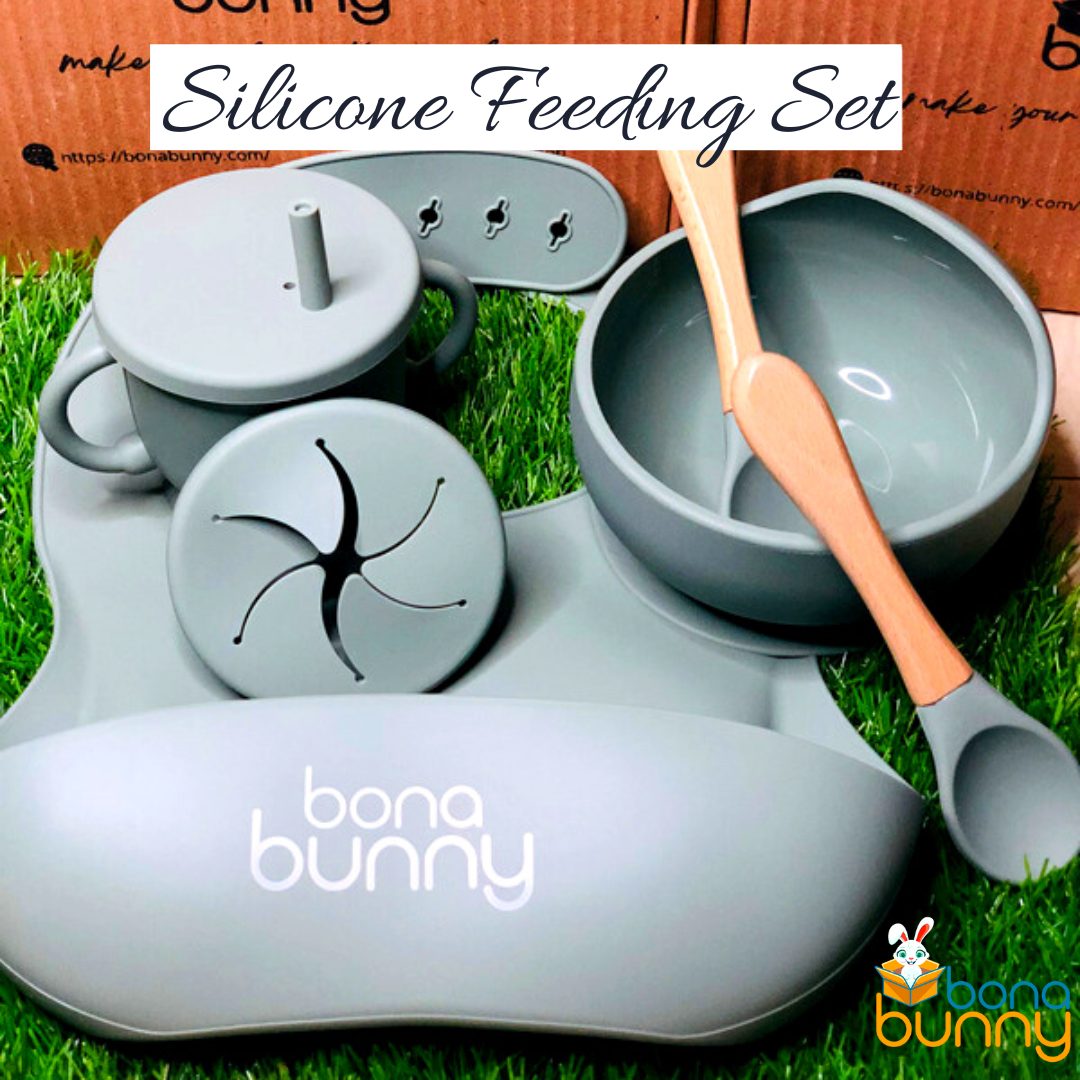 rayshie silicone baby feeding supplies 6 in 1, baby dishes, baby plates for  babies, baby utensils 6-12 months, silicone bibs